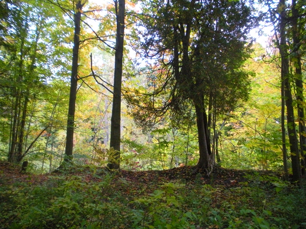 DSCN9531.JPG