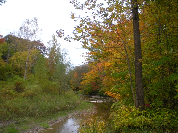 DSCN9532.JPG