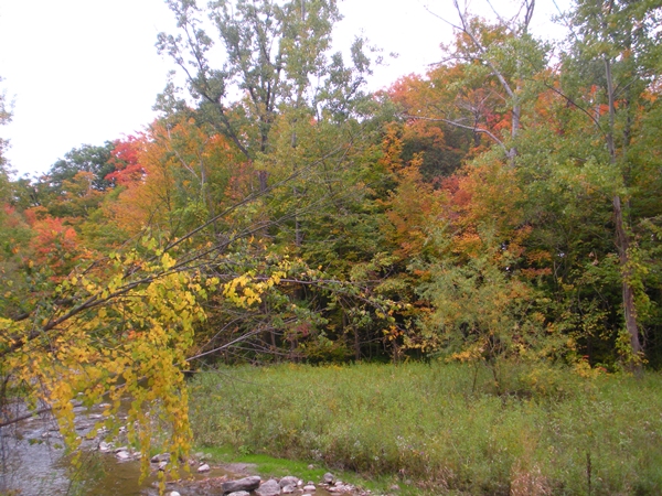 DSCN9534.JPG