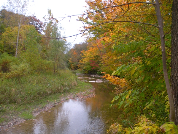 DSCN9535.JPG