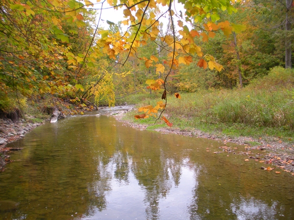 DSCN9539.JPG