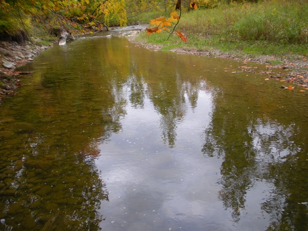 DSCN9541.JPG