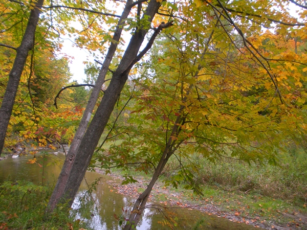 DSCN9543.JPG