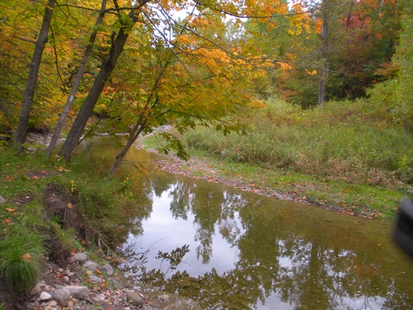 DSCN9544.JPG