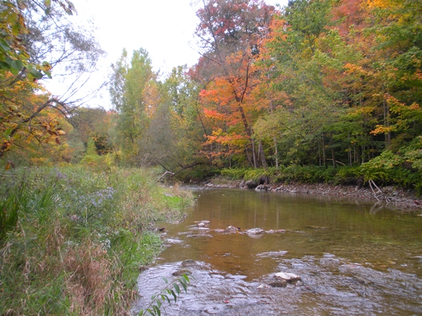 DSCN9545.JPG