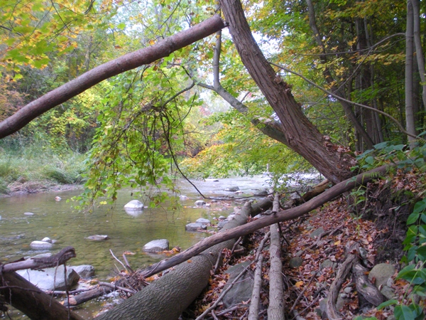 DSCN9549.JPG