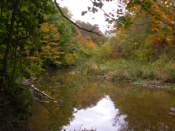 DSCN9555.JPG