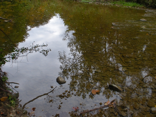 DSCN9557.JPG