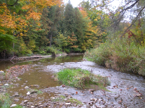 DSCN9558.JPG