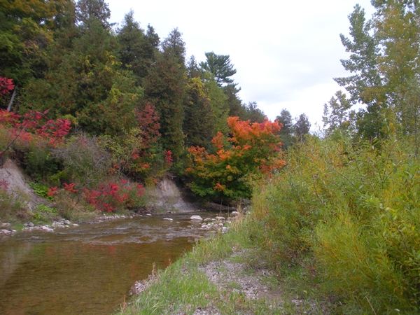 DSCN9563.JPG