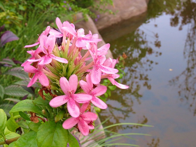 s_0489.JPG