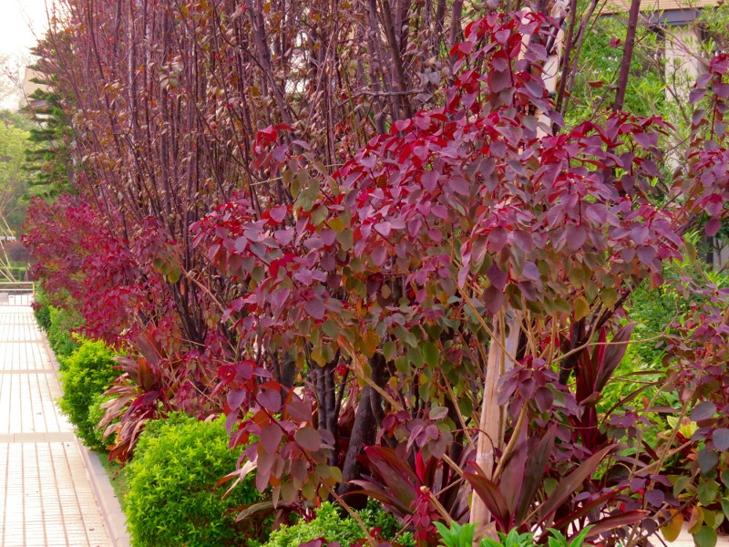 s_0498.JPG