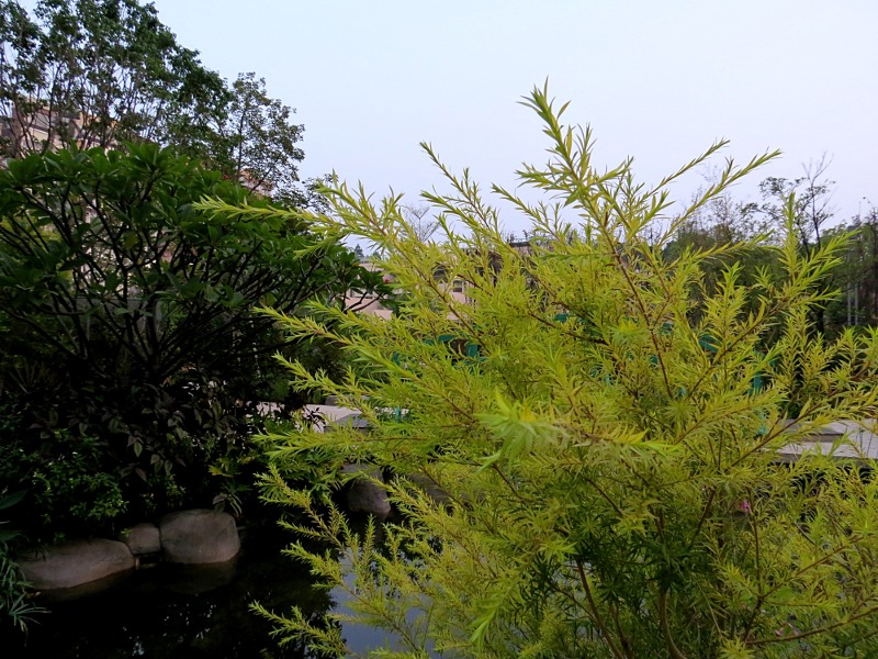 s_0506.JPG