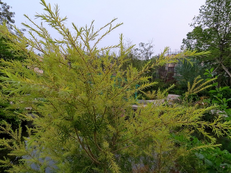 s_0507.JPG