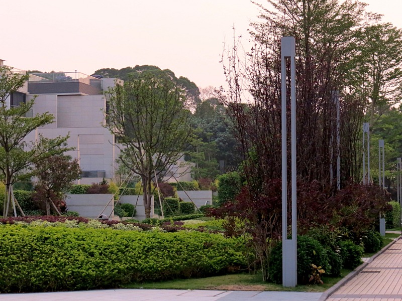 s_0497.JPG