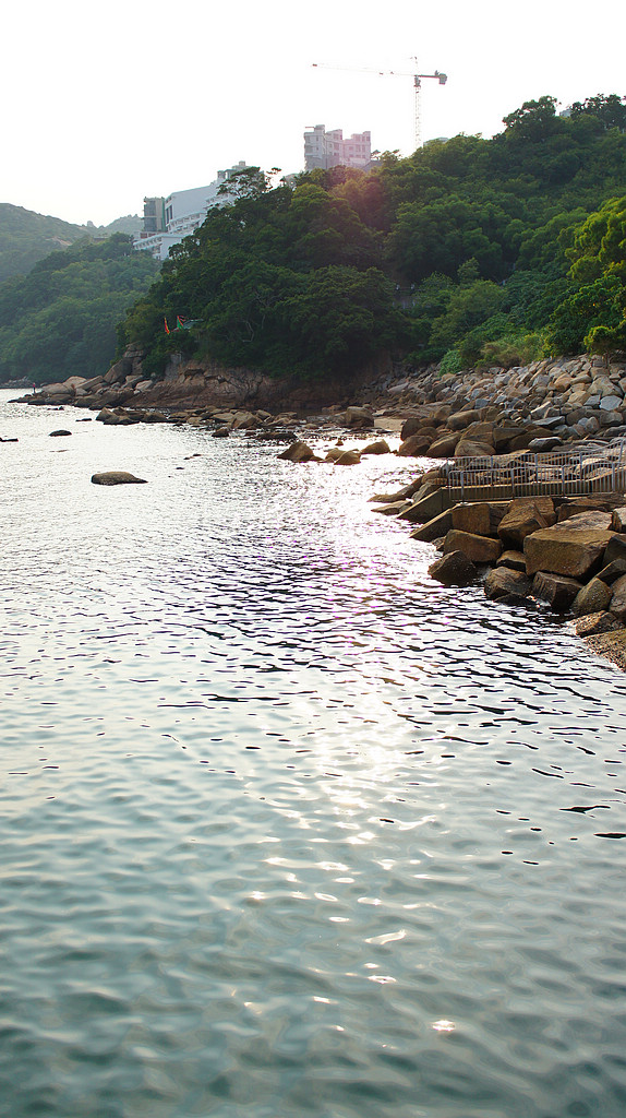 DSC05864.jpg
