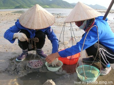 original P fish a.jpg