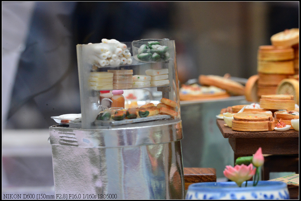 DSC_0694.jpg
