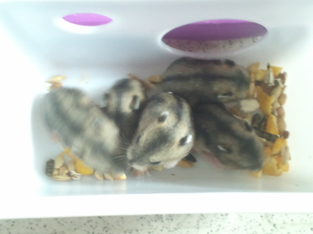 2012-03-19 16.35.30.jpg