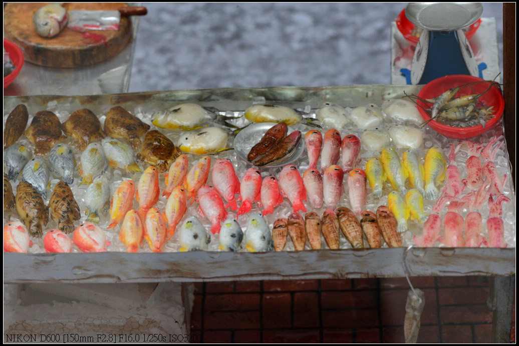 DSC_0719.jpg