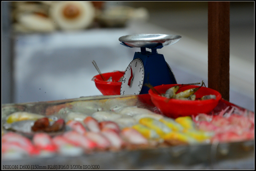 DSC_0726.jpg