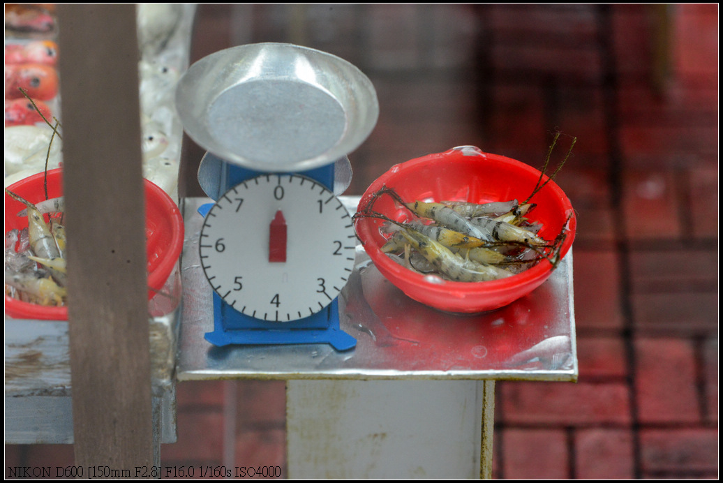 DSC_0727.jpg