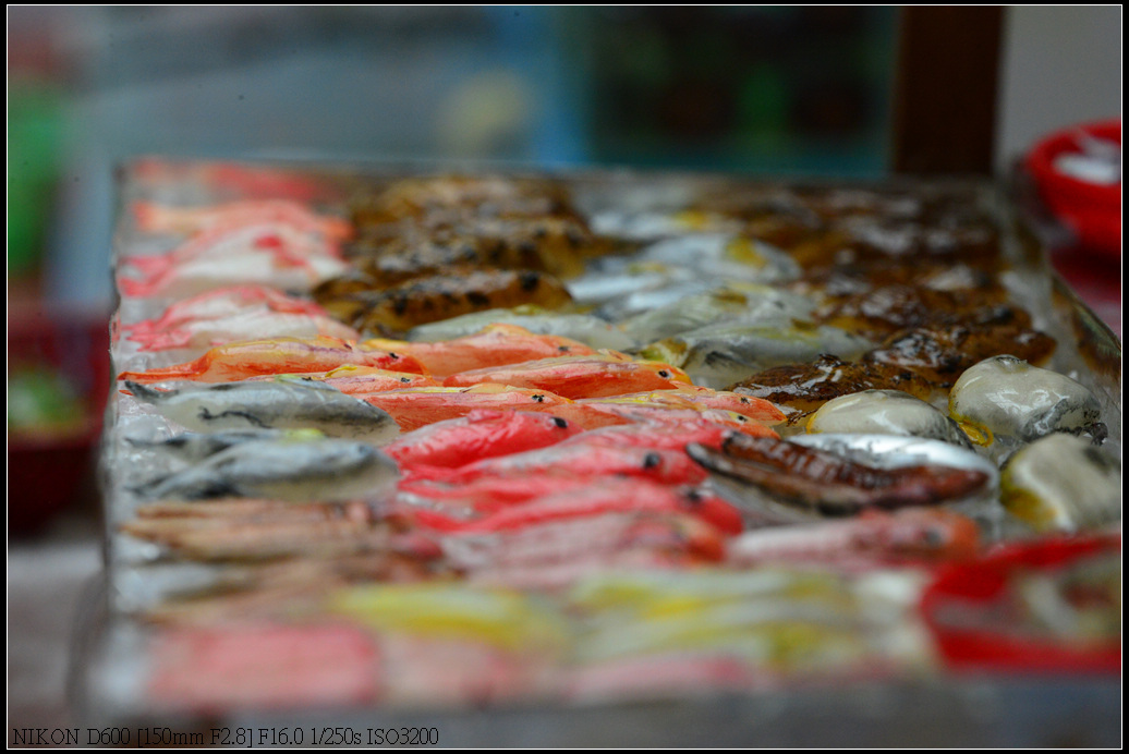 DSC_0728.jpg