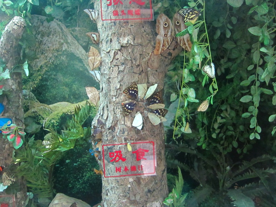 IMG_4137_conew1.jpg