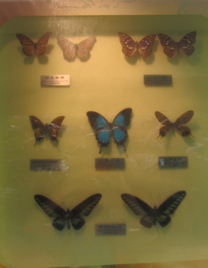 IMG_4150_conew1.jpg