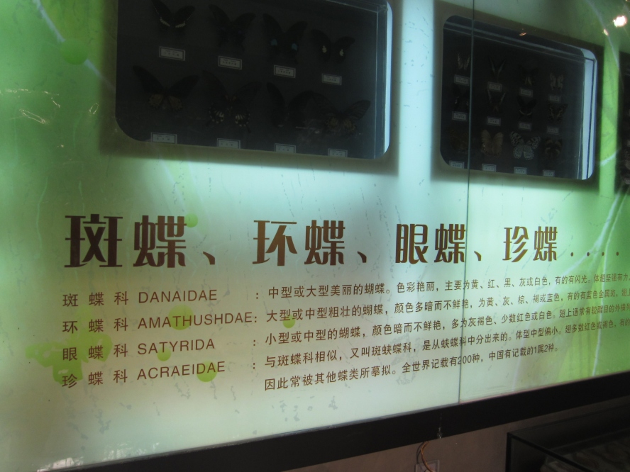 IMG_4151_conew1.jpg