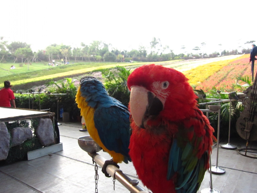 IMG_4175_conew1.jpg