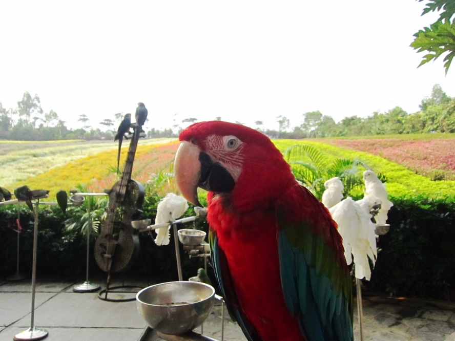 IMG_4168_conew1.jpg