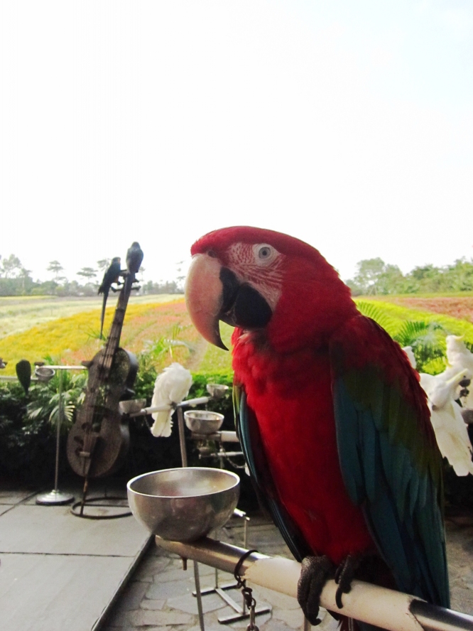 IMG_4169_conew1.jpg