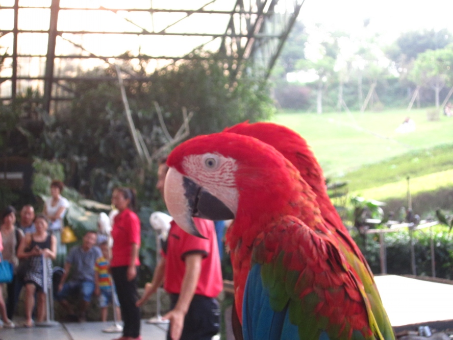 IMG_4172_conew1.jpg