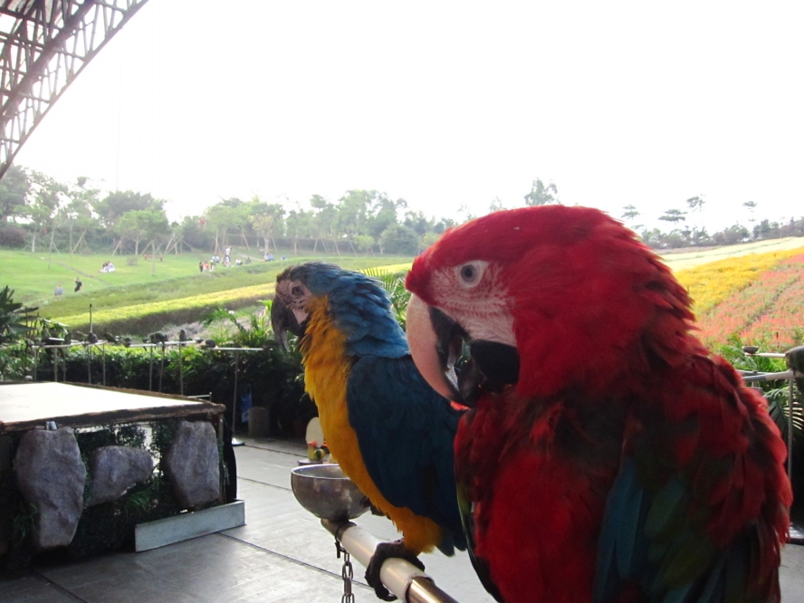 IMG_4174_conew1.jpg