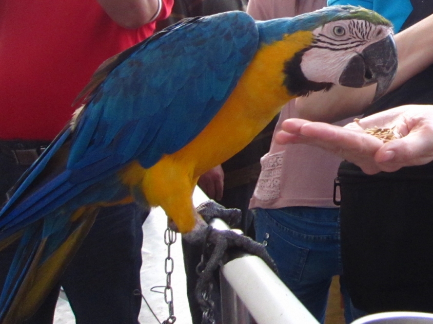 IMG_4209_conew1.jpg