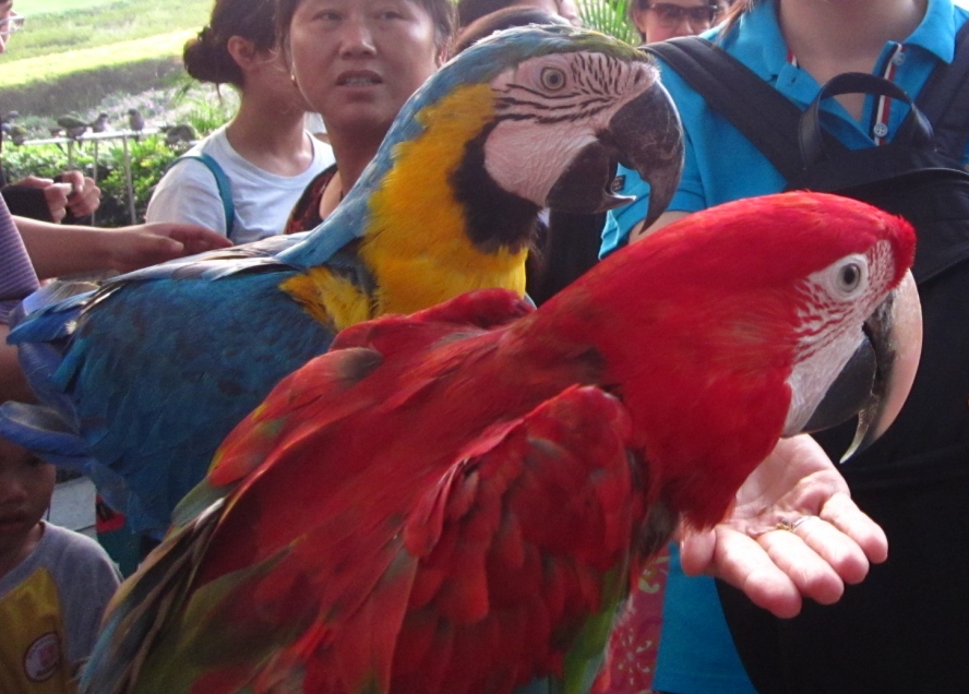 IMG_4198_conew1.jpg