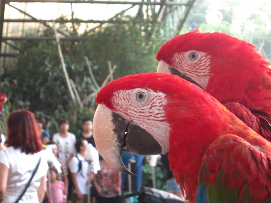 IMG_4196_conew1.jpg