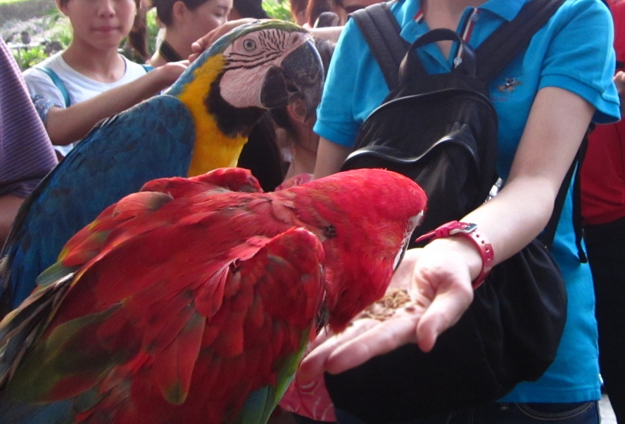 IMG_4199_conew1.jpg