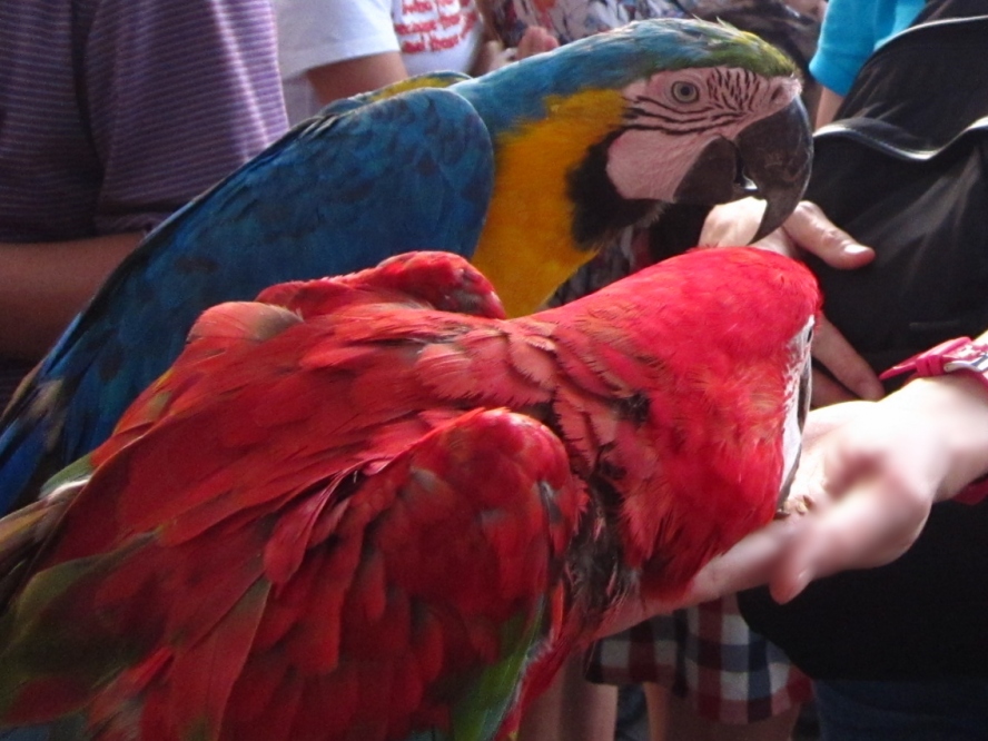 IMG_4201_conew1.jpg