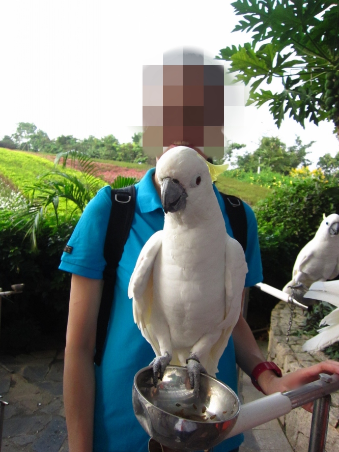 IMG_4227_conew1.jpg