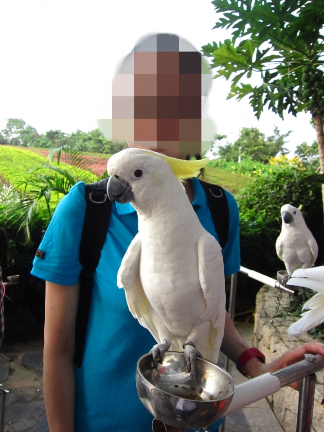 IMG_4228_conew1.jpg