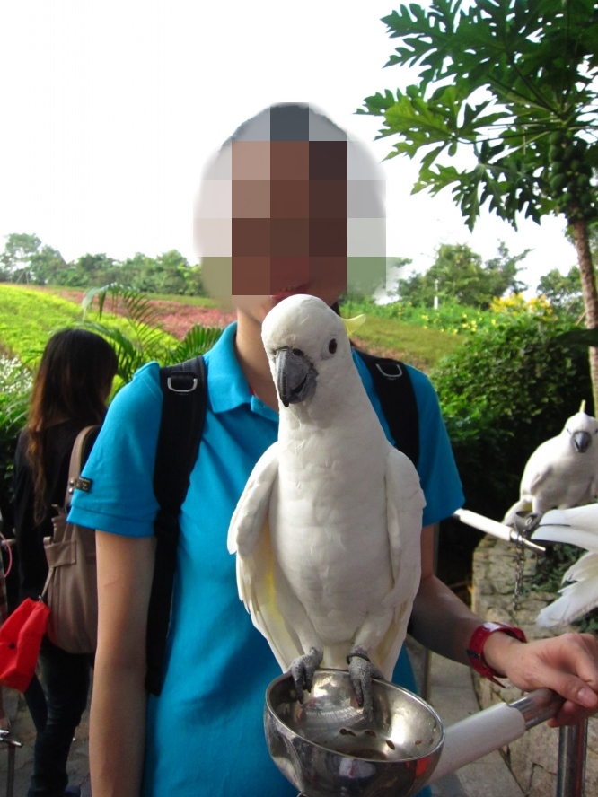 IMG_4229_conew1.jpg
