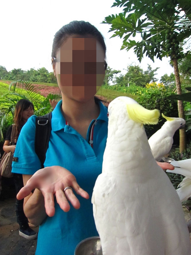 IMG_4230_conew1.jpg