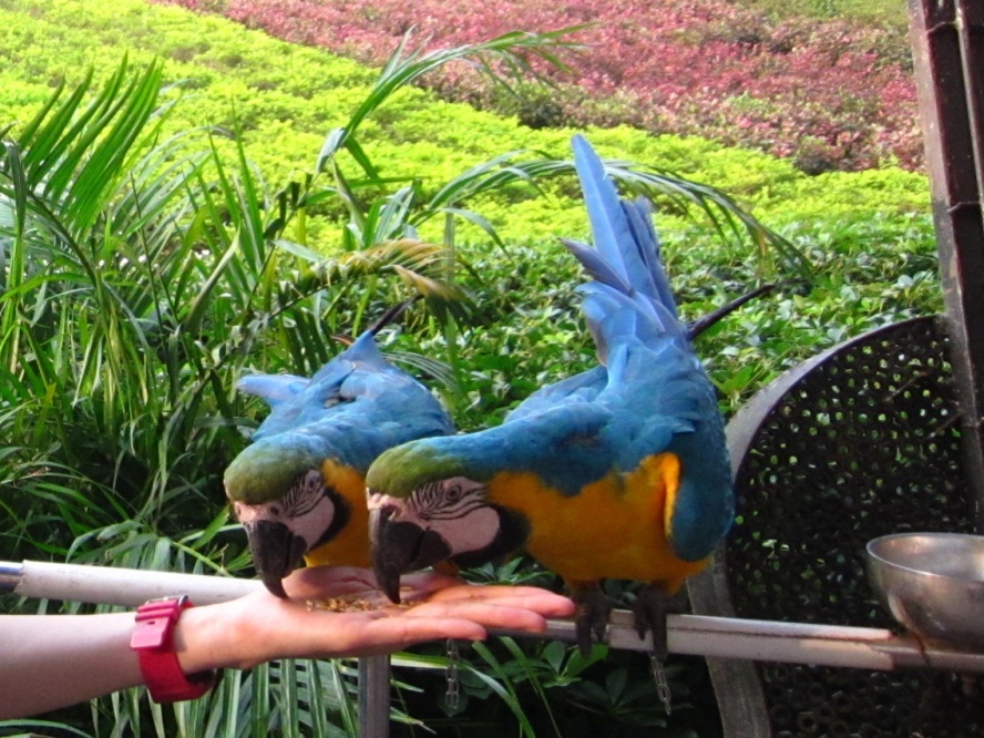 IMG_4239_conew1.jpg