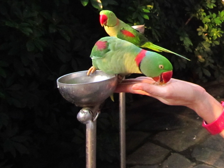 IMG_4247_conew1.jpg