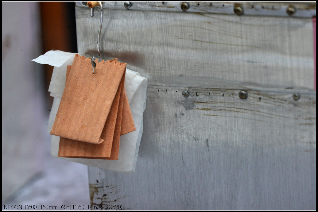 DSC_0761.jpg