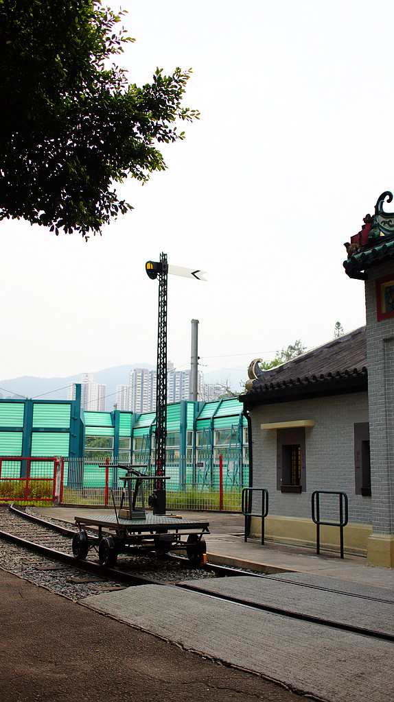 DSC06865.jpg