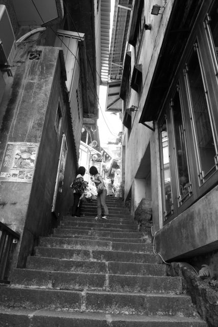 DPP_0120.JPG