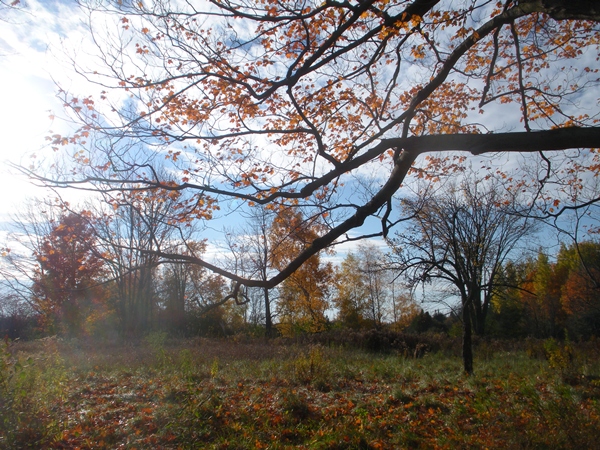 DSCN9983.JPG